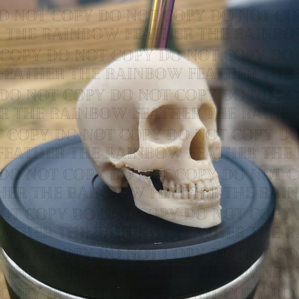 Realistic Human Skull Straw Topper