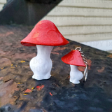 Curvy Lady Mushrooms