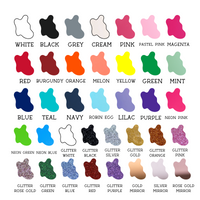 Back to School Acrylic Hair Clips Wholesale